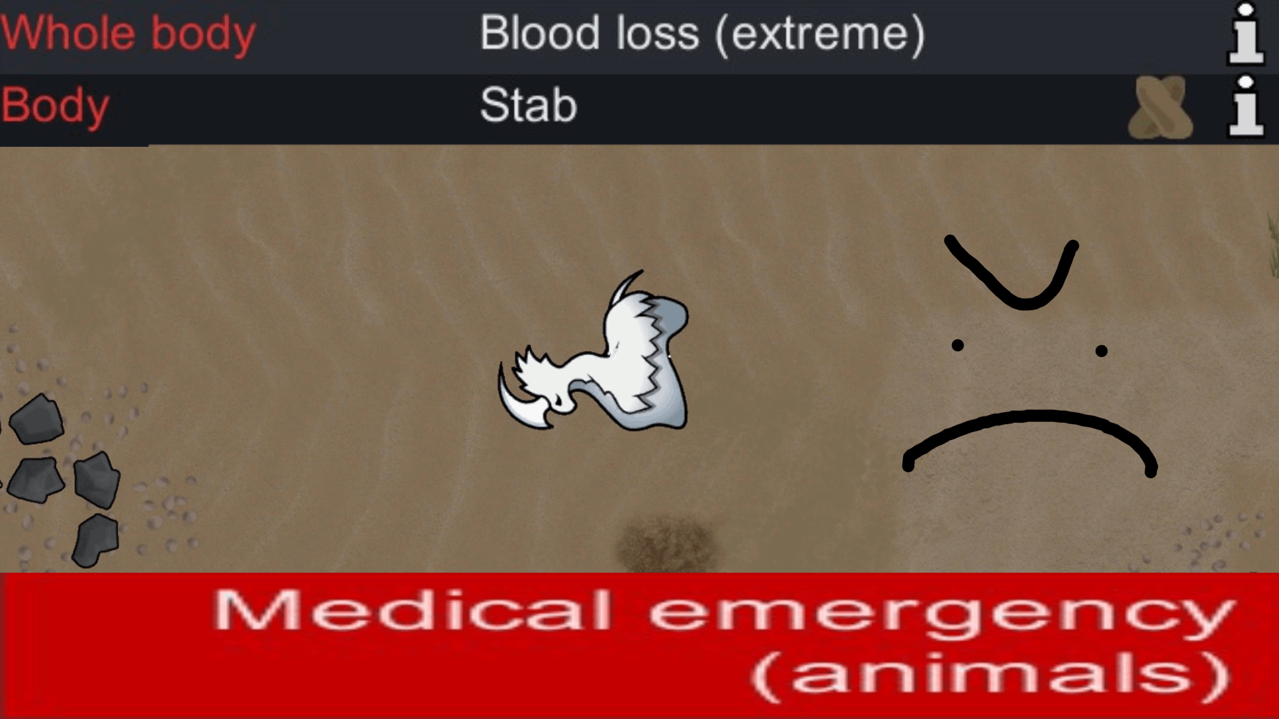 Blood Loss Isn't Deadly For Animals
