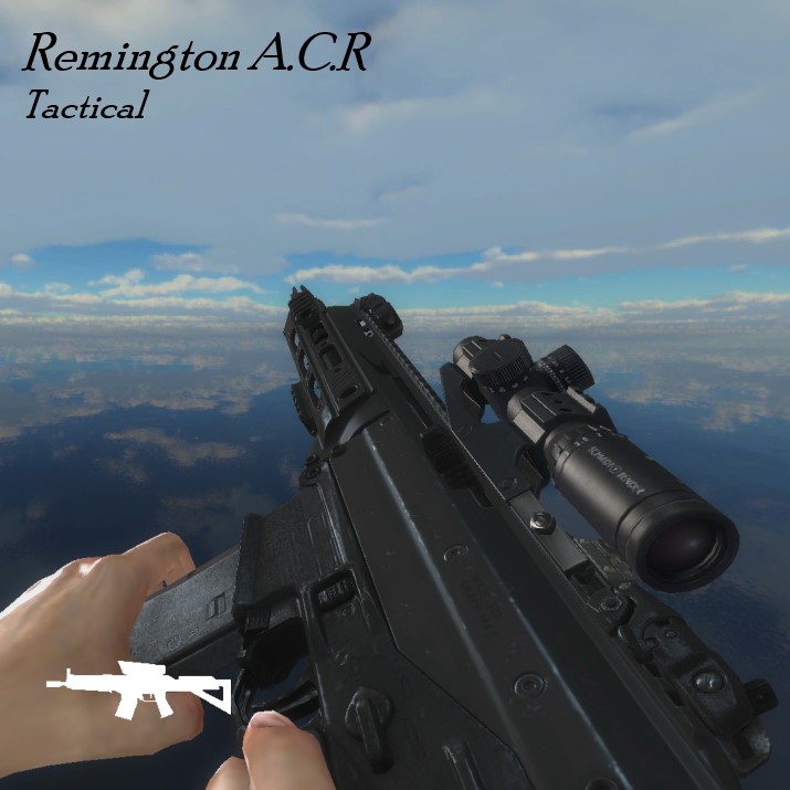 Tactical ACR (SG552)