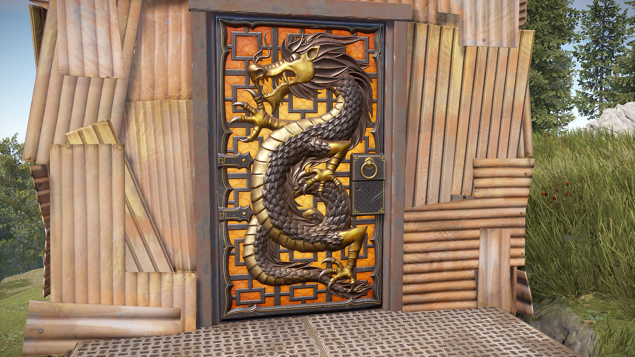 Year of the Dragon Door