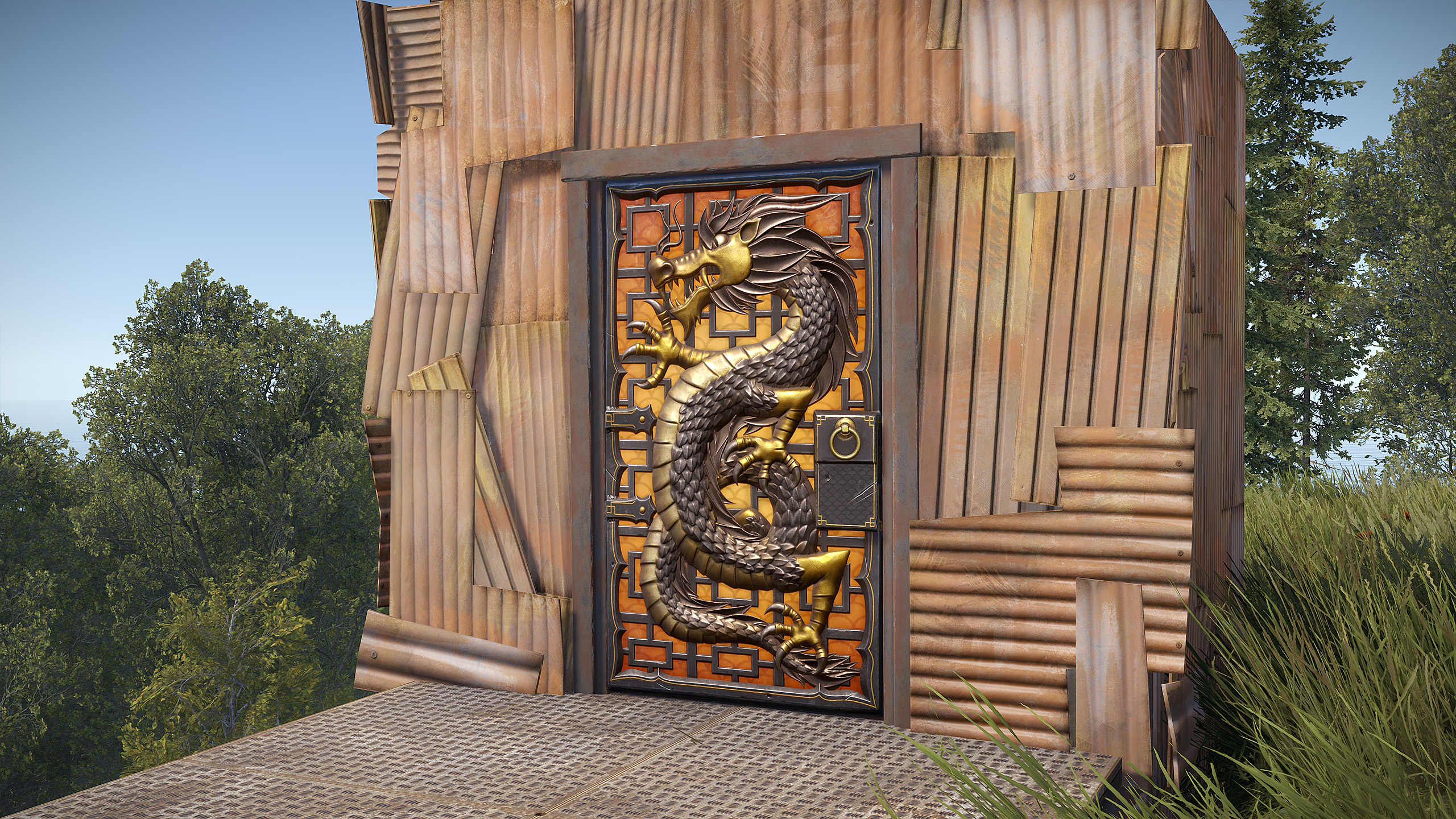 Year of the Dragon Door