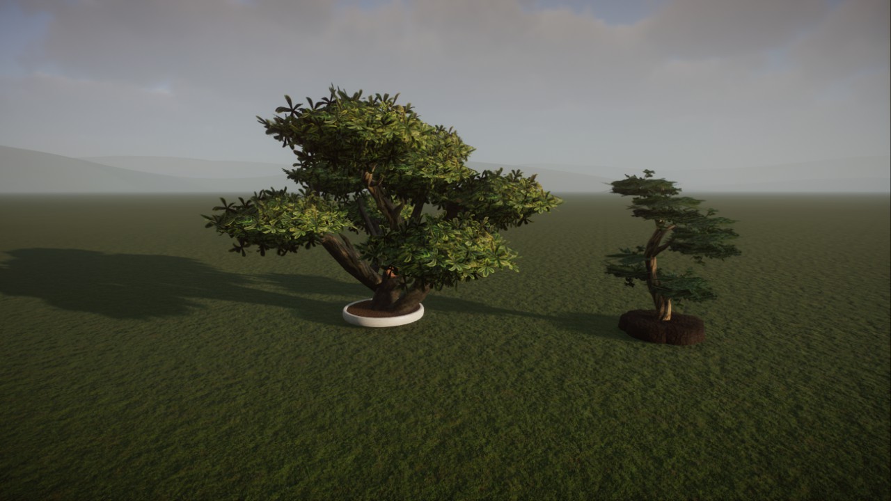Bonzai
