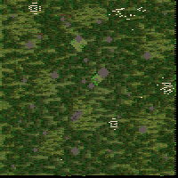 Dead Forest