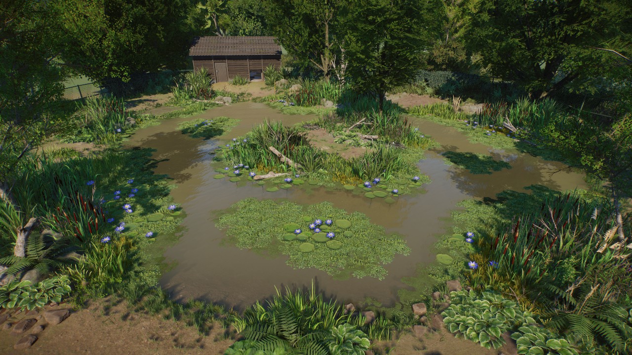 Mute Swan Habitat by Cesar Creates
