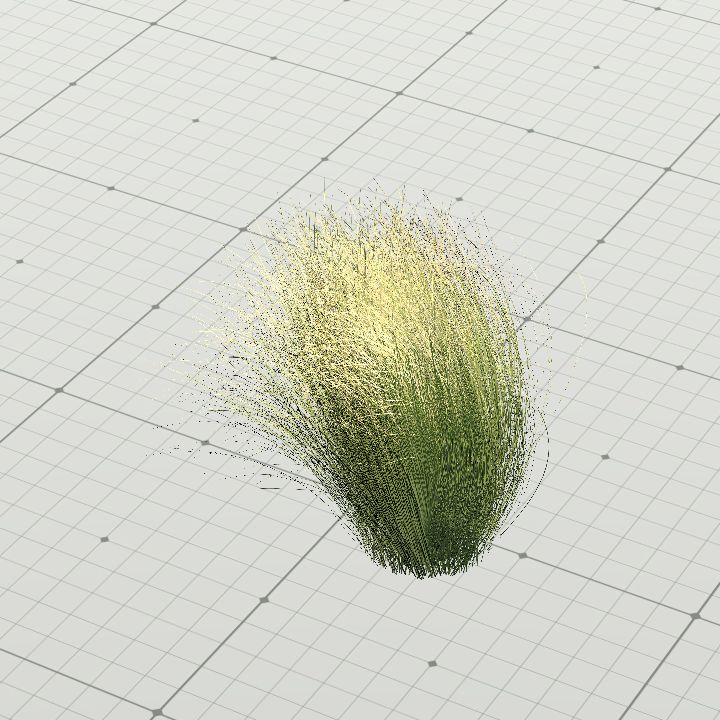 Maram Grass 4