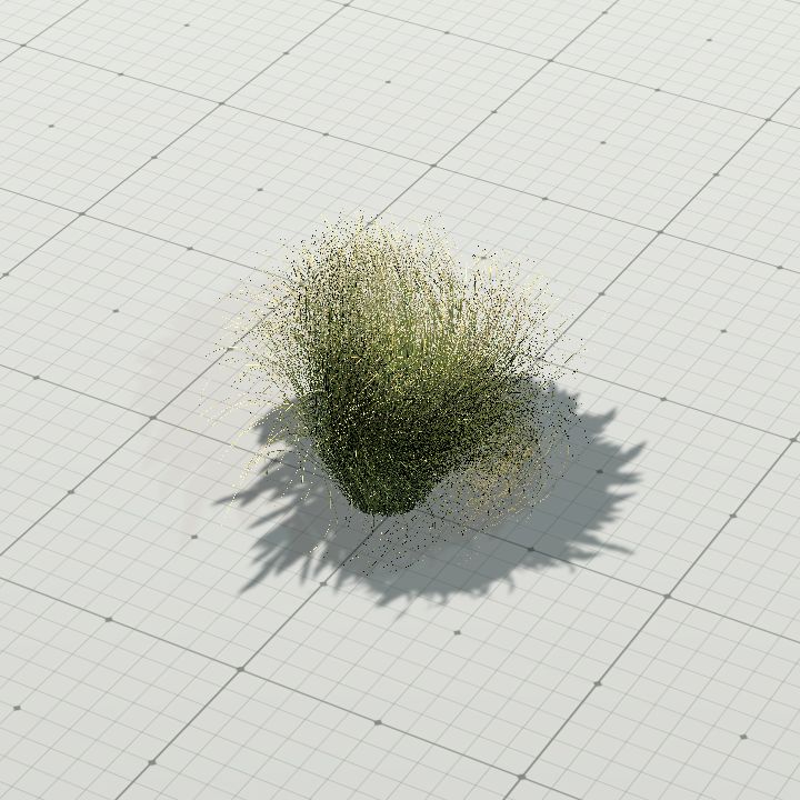 Maram Grass 2