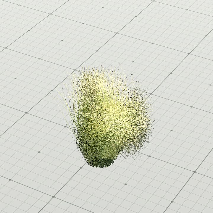 Maram Grass 1