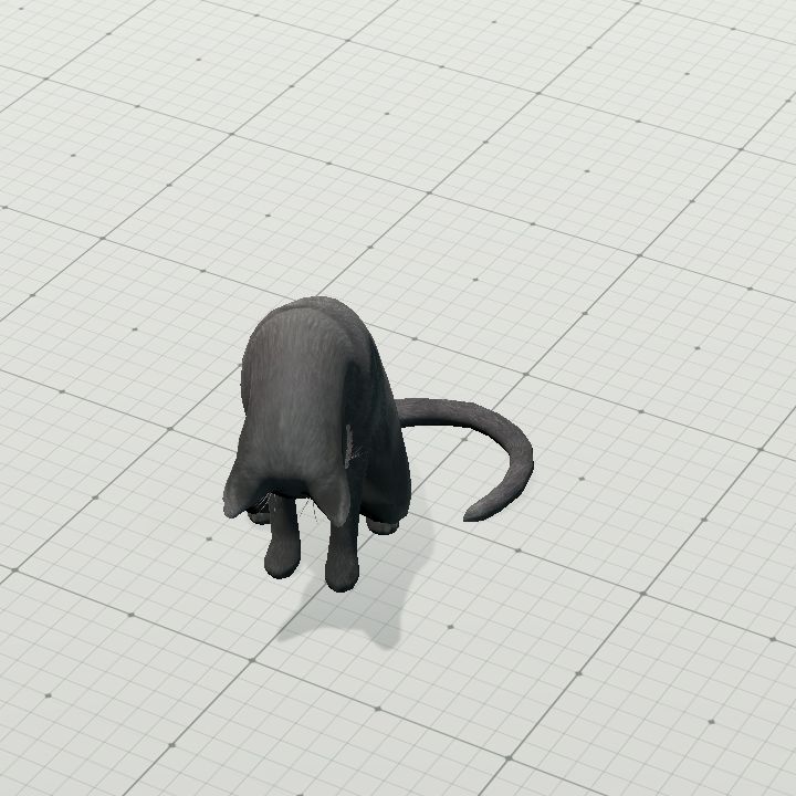 Animated Cat
