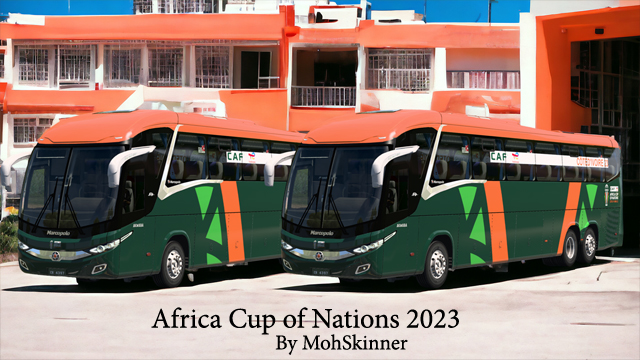 Africa Cup of Nations [Skin]