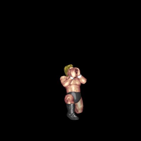 CM Punk Taunt