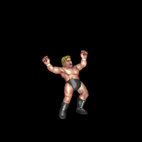 Triple H Taunt