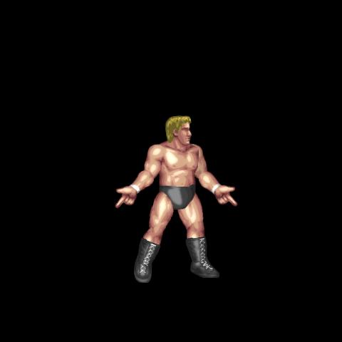 Jay White Taunt
