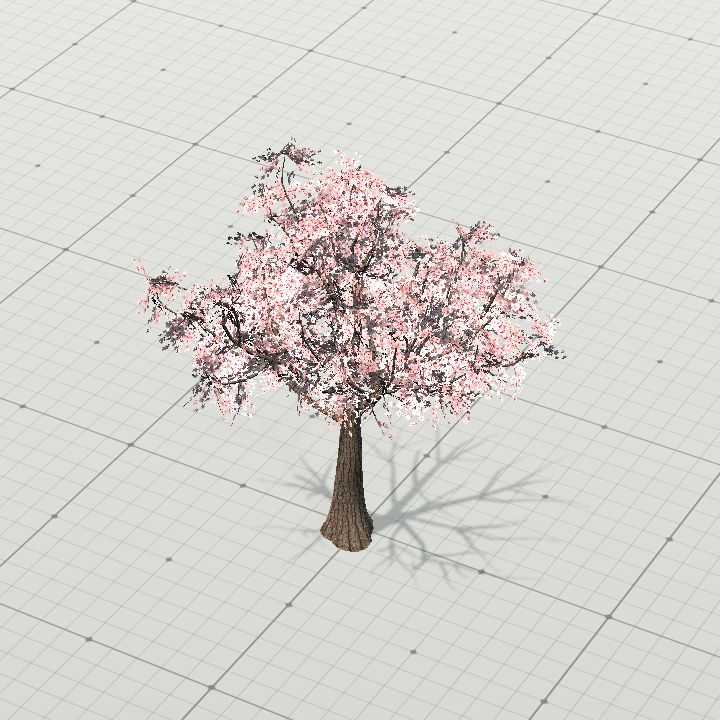 sakura_tree
