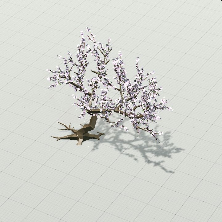 sakura__cherry_blossom
