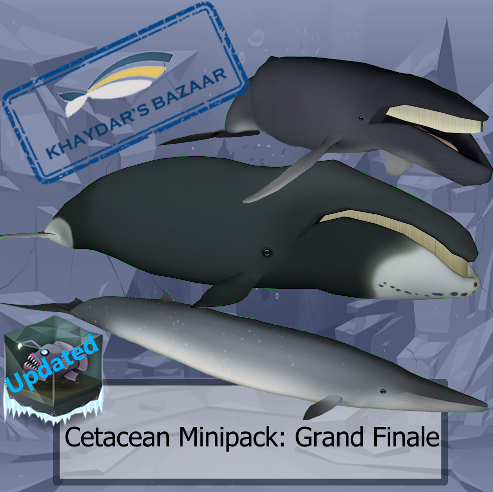 Khaydar's Bazaar - Cetacean minipack; Grand Finale