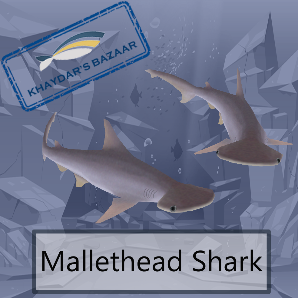 Khaydar's Bazar - Mini-hammerhead