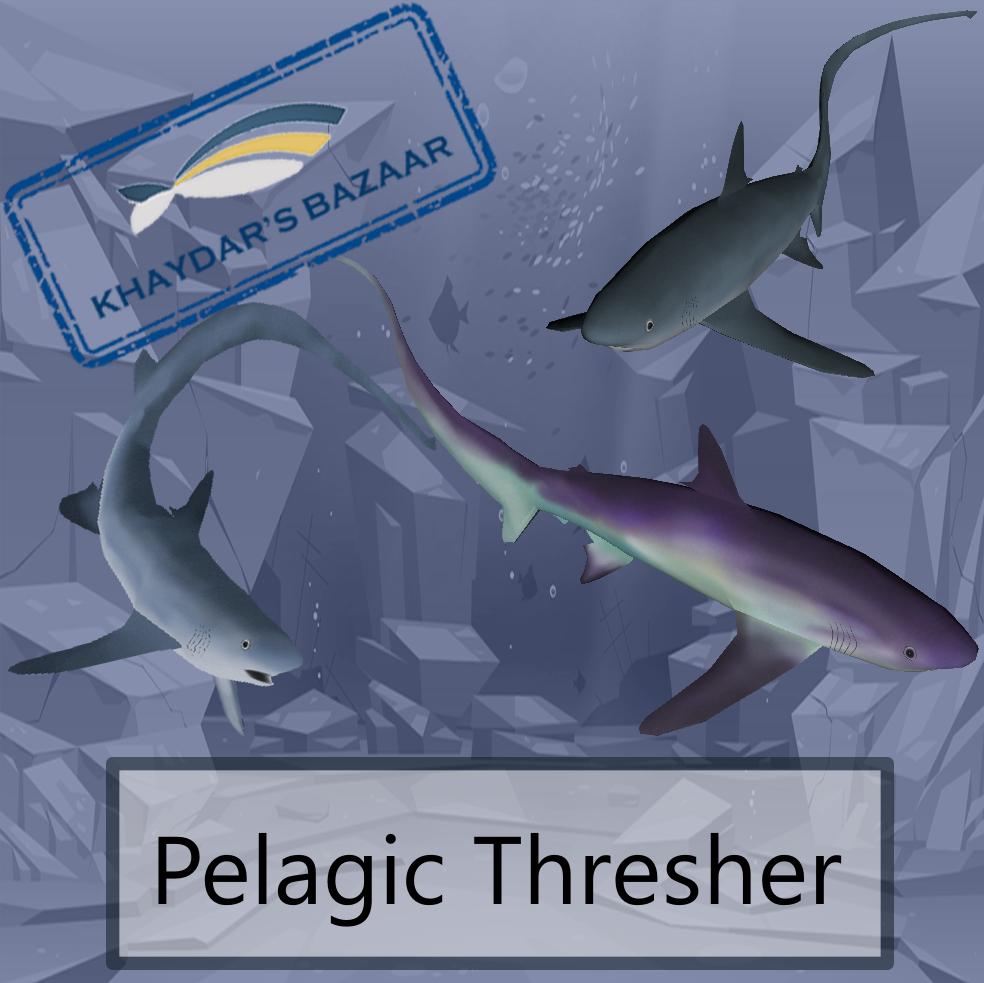 Khaydar's Bazaar - Pelagic Thresher