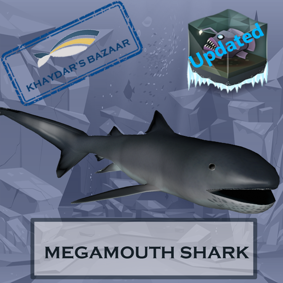 Khaydar's Bazaar - Megamouth Shark