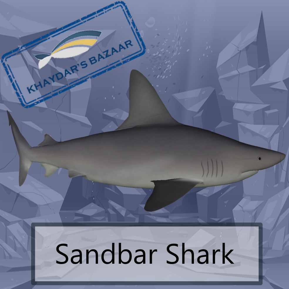 Khaydar's Bazaar - Sandbar Shark