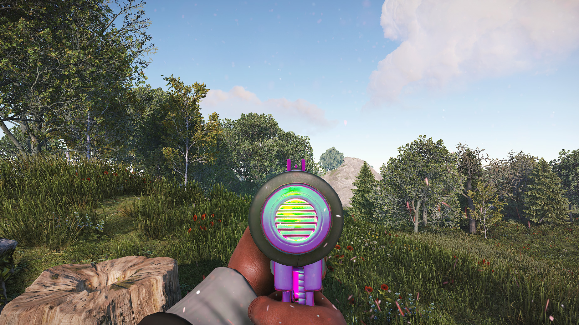 Chameleon SMG