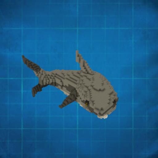 Adorany Reen's Grey Shark