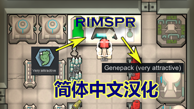 RIMSPR简体中文汉化