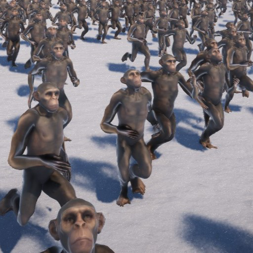Monkey