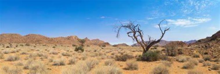 Arid Plains