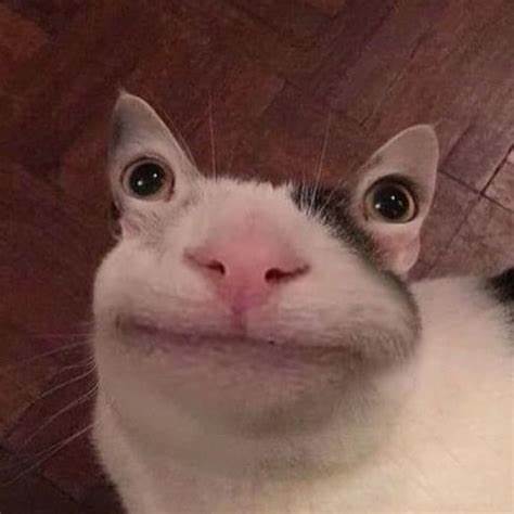 begula