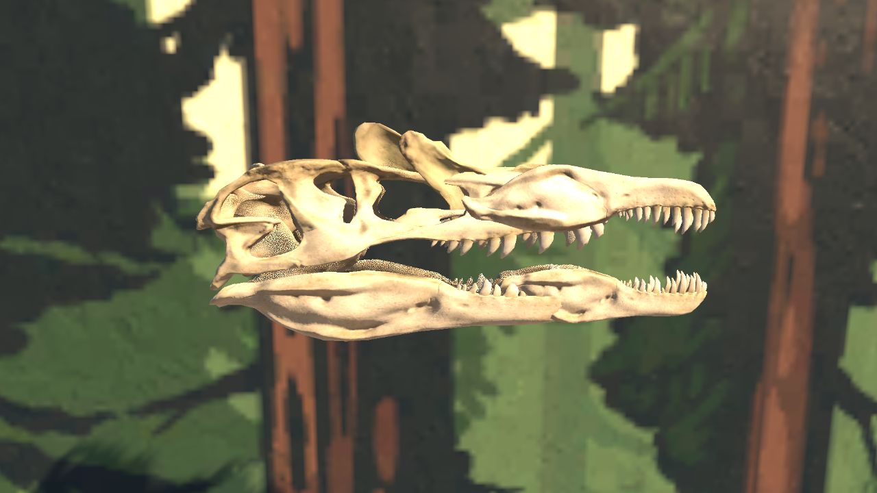 Spinosaurus Skull