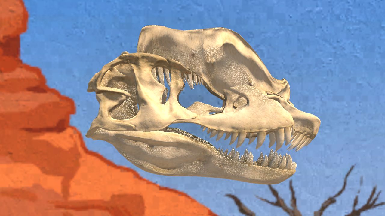 Dilophosaurus Skull