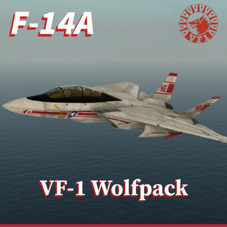 VF-1 "Wolfpack" F-14A 1978
