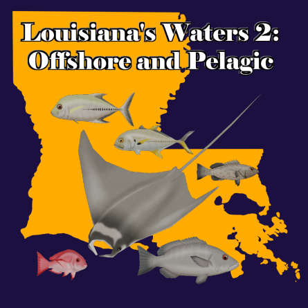 Louisiana's Waters 2-Offshore and Pelagic