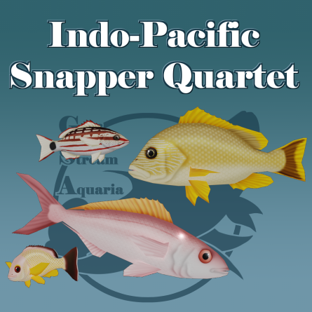 Gulf Stream Aquaria - Indo-Pacific Snapper Quartet