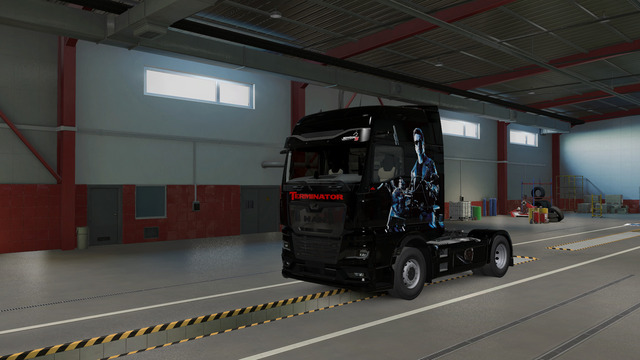 Terminator Skin