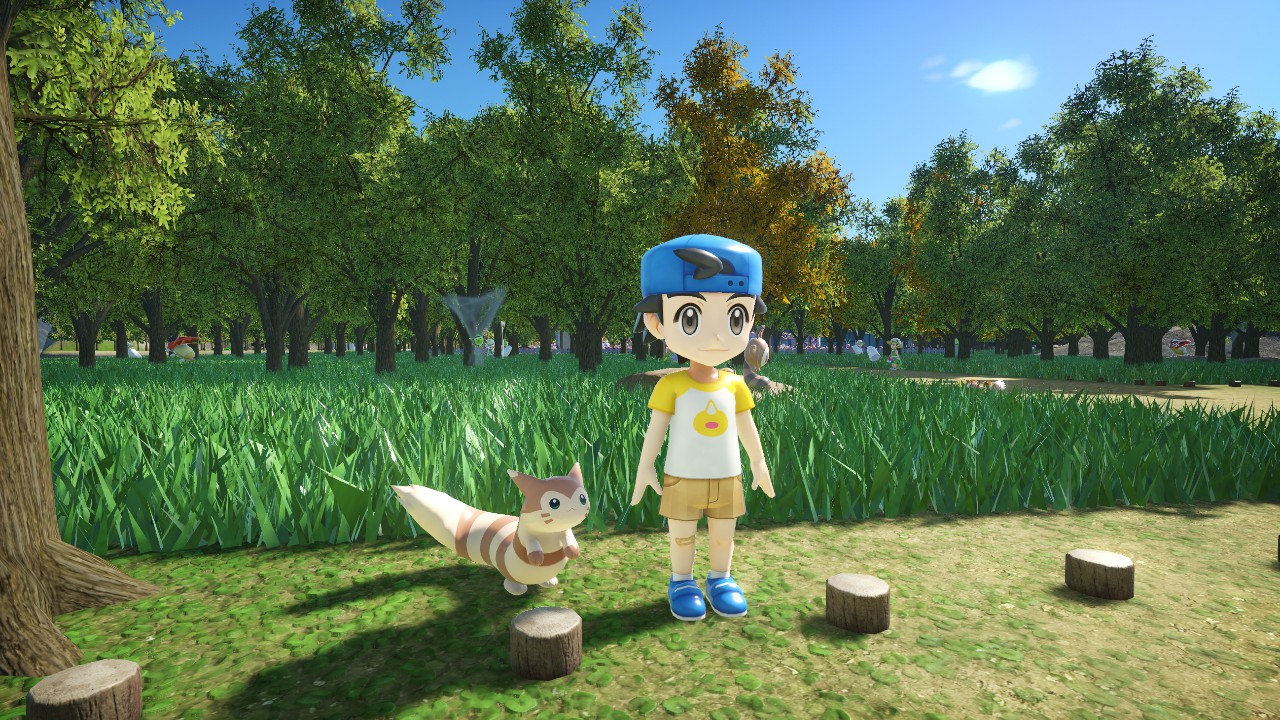 Furret - Pokemon Johto