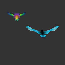 Blue bird of paradise