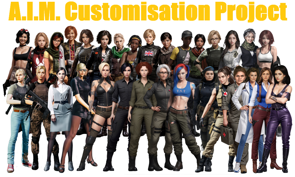 A.I.M. Customisation Project