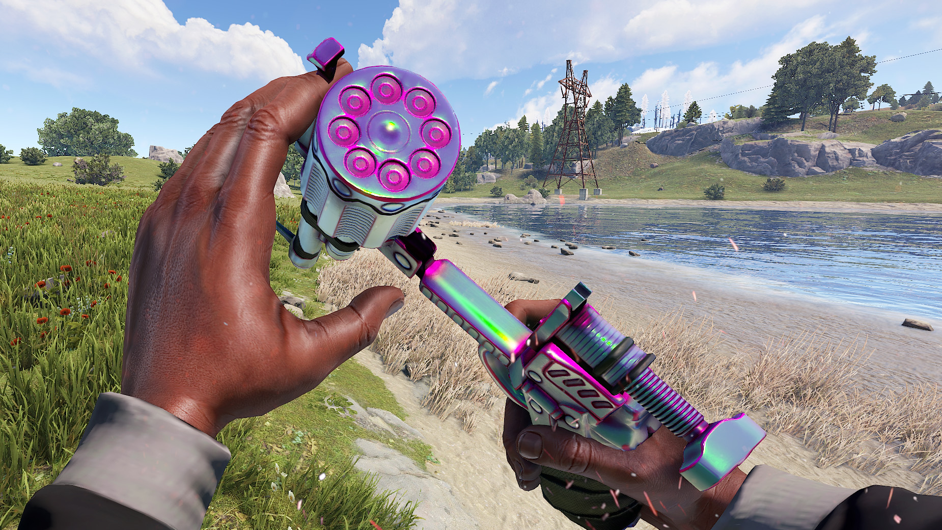 Chameleon Revolver