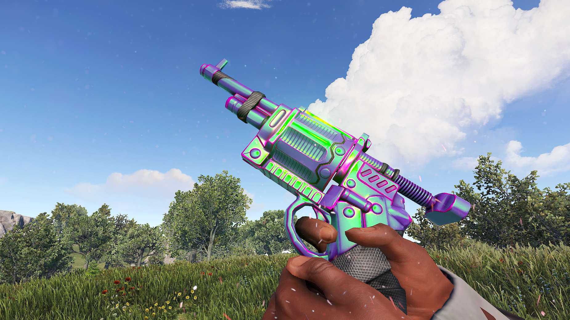 Chameleon Revolver
