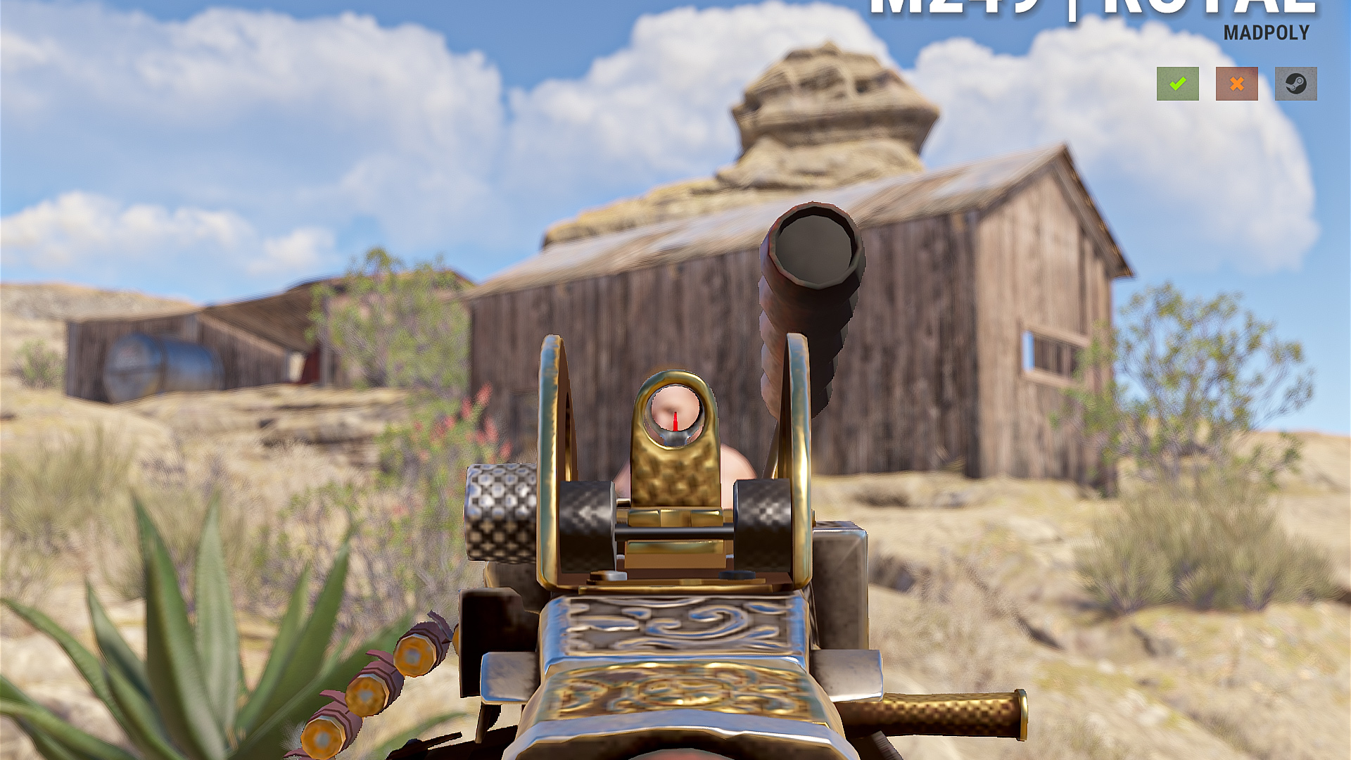 Royal M249