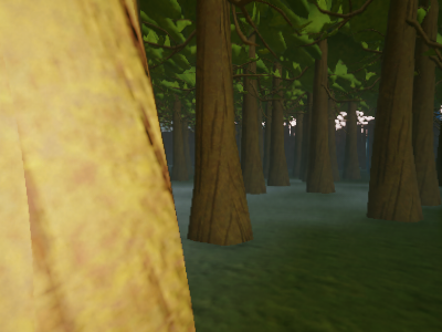 The Forest