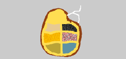 Bomba
