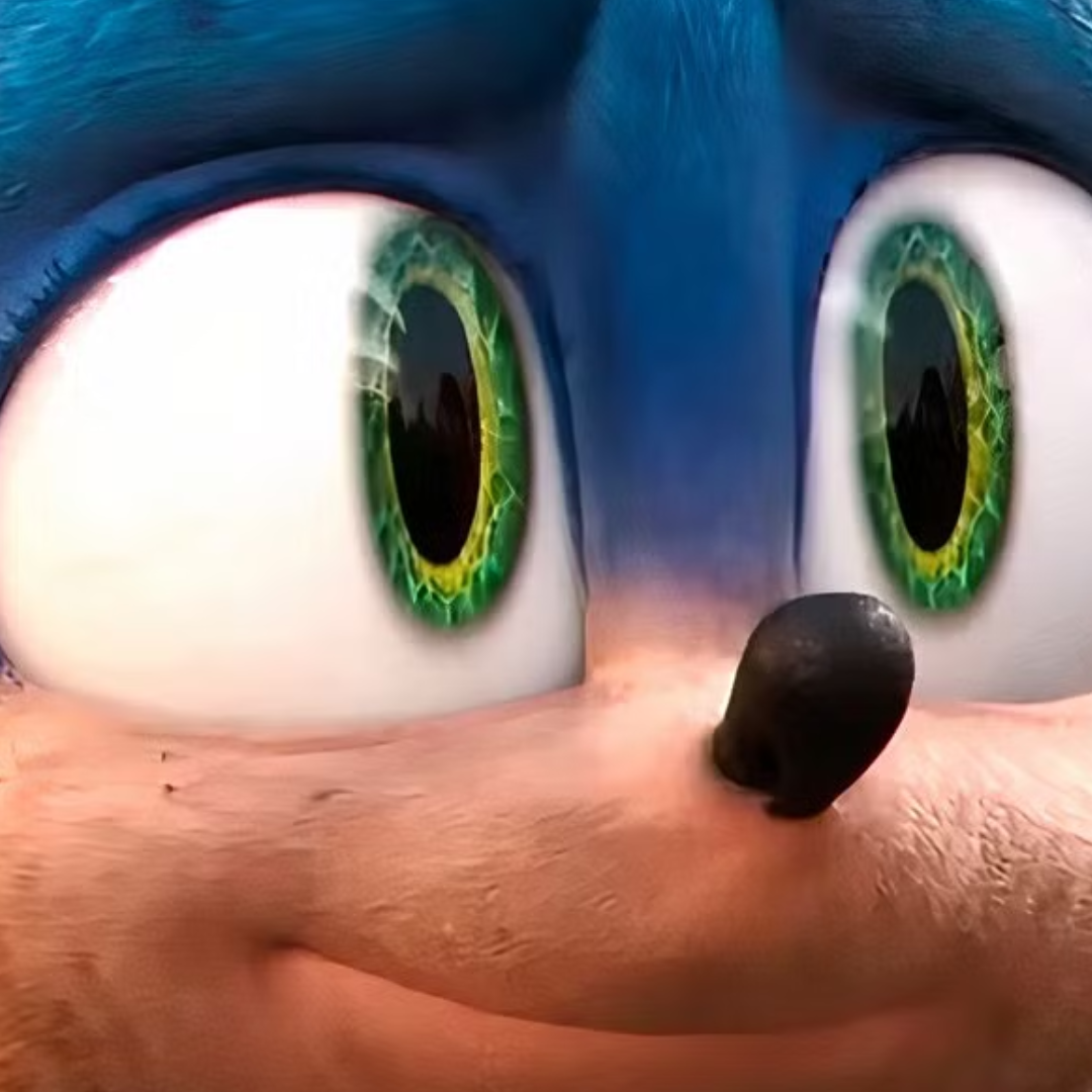 Sonic Themed Airboat