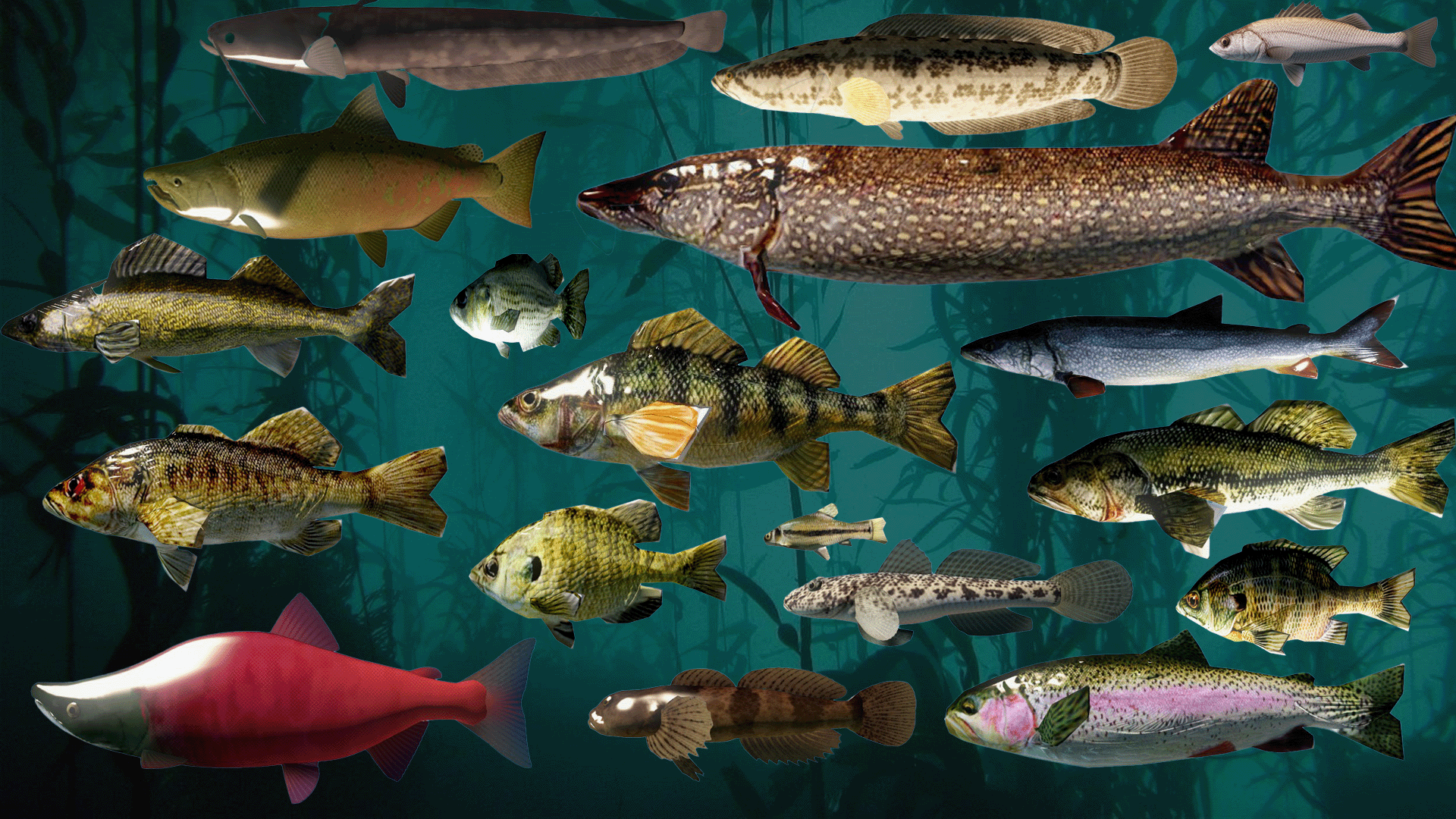 dayz fishing lure Steam Workshop::gebsfish