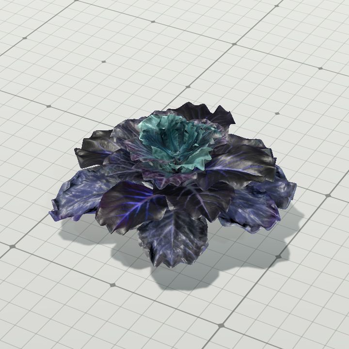 Fey Plant 7