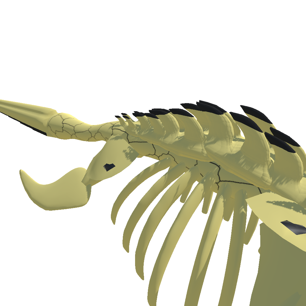Skeleton Mosasaurus