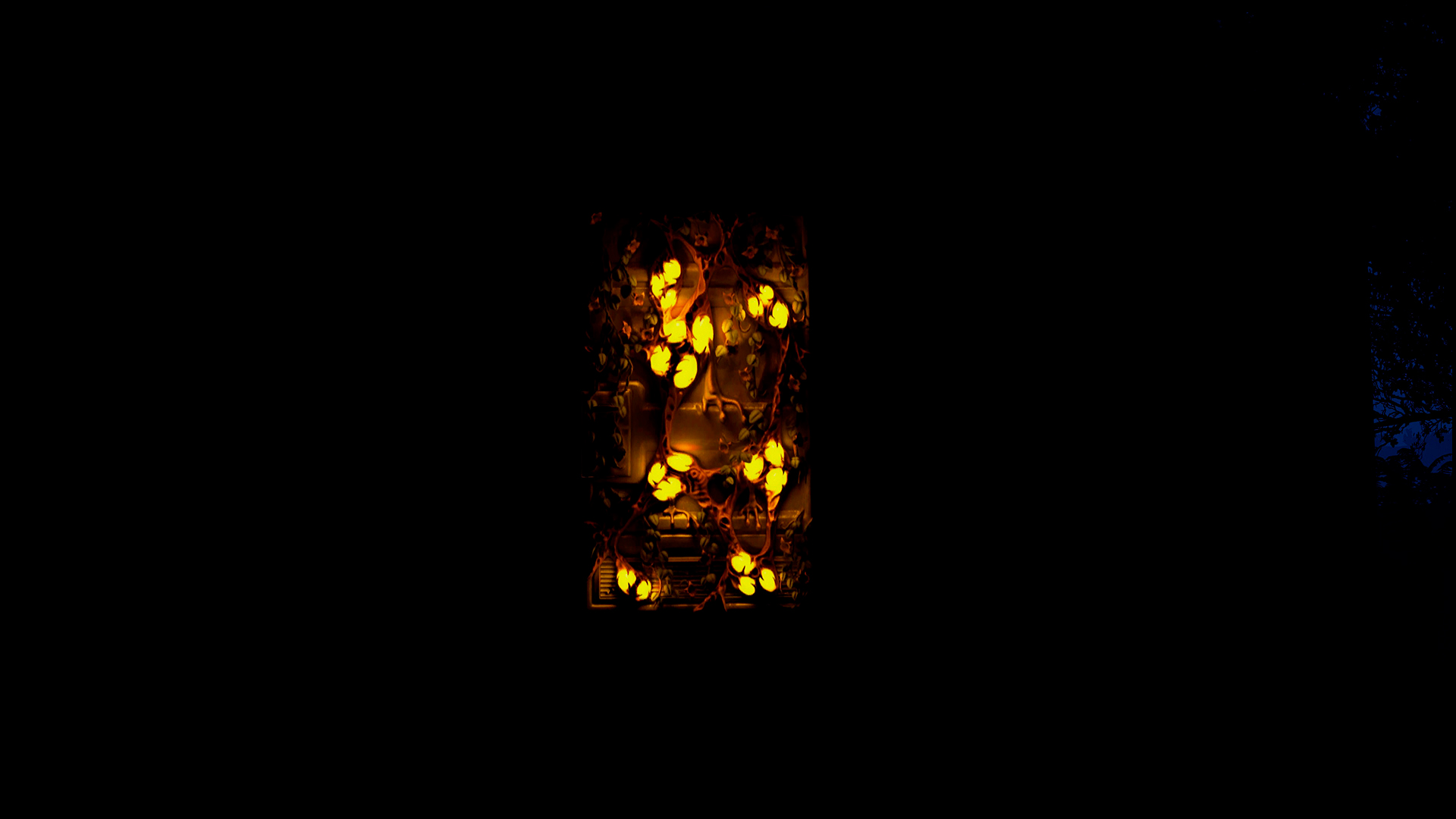 Plague Metal Door