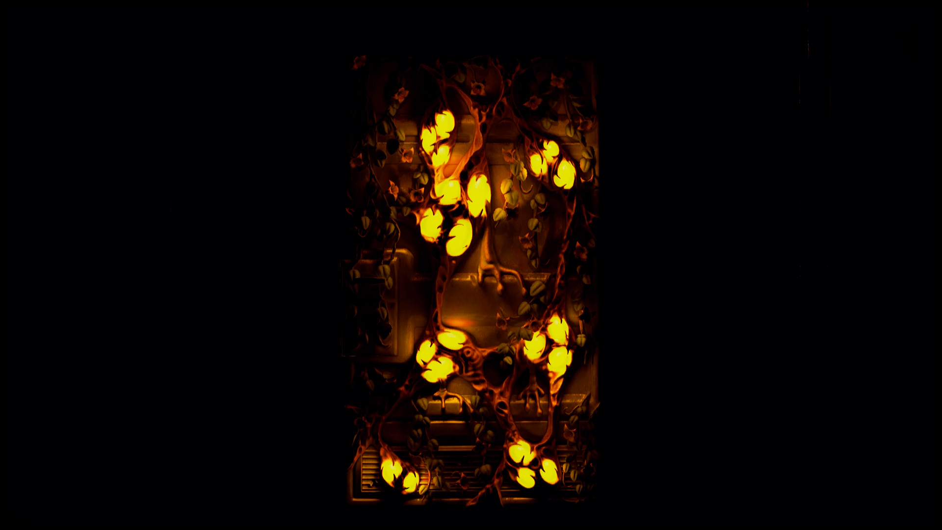 Plague Metal Door