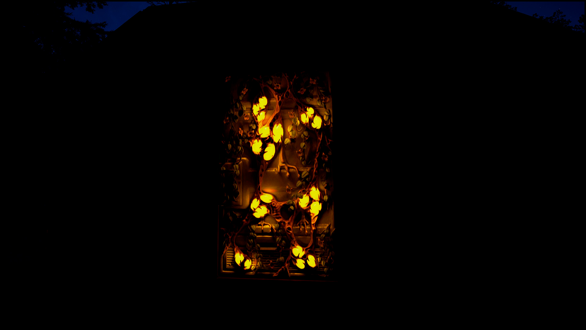 Plague Metal Door