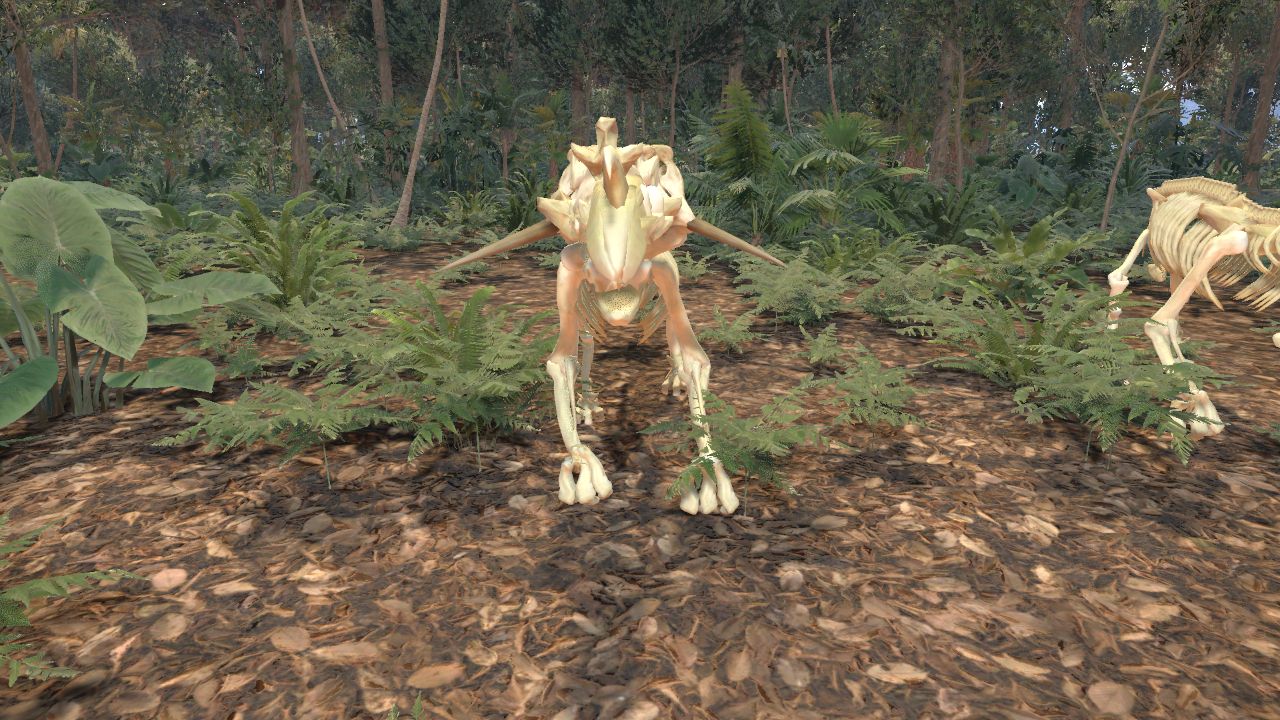 HERBIVORE SKELETON 2
